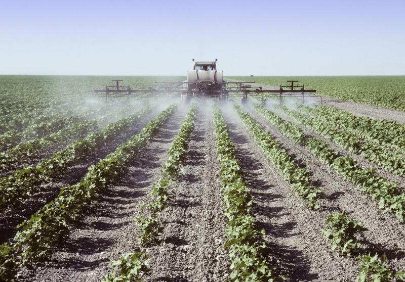 Use of pesticides in traditional cotton production