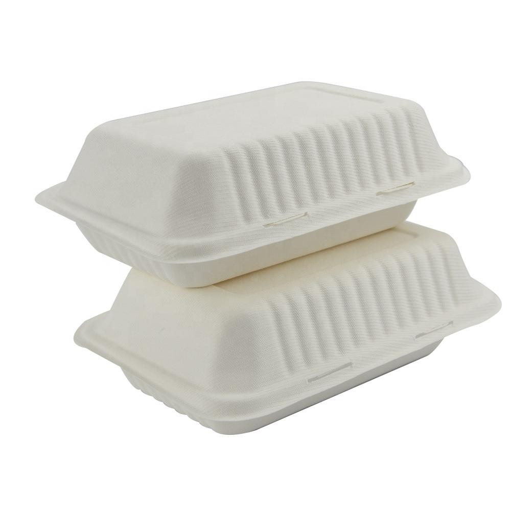 Sugarcane Bagasse Box